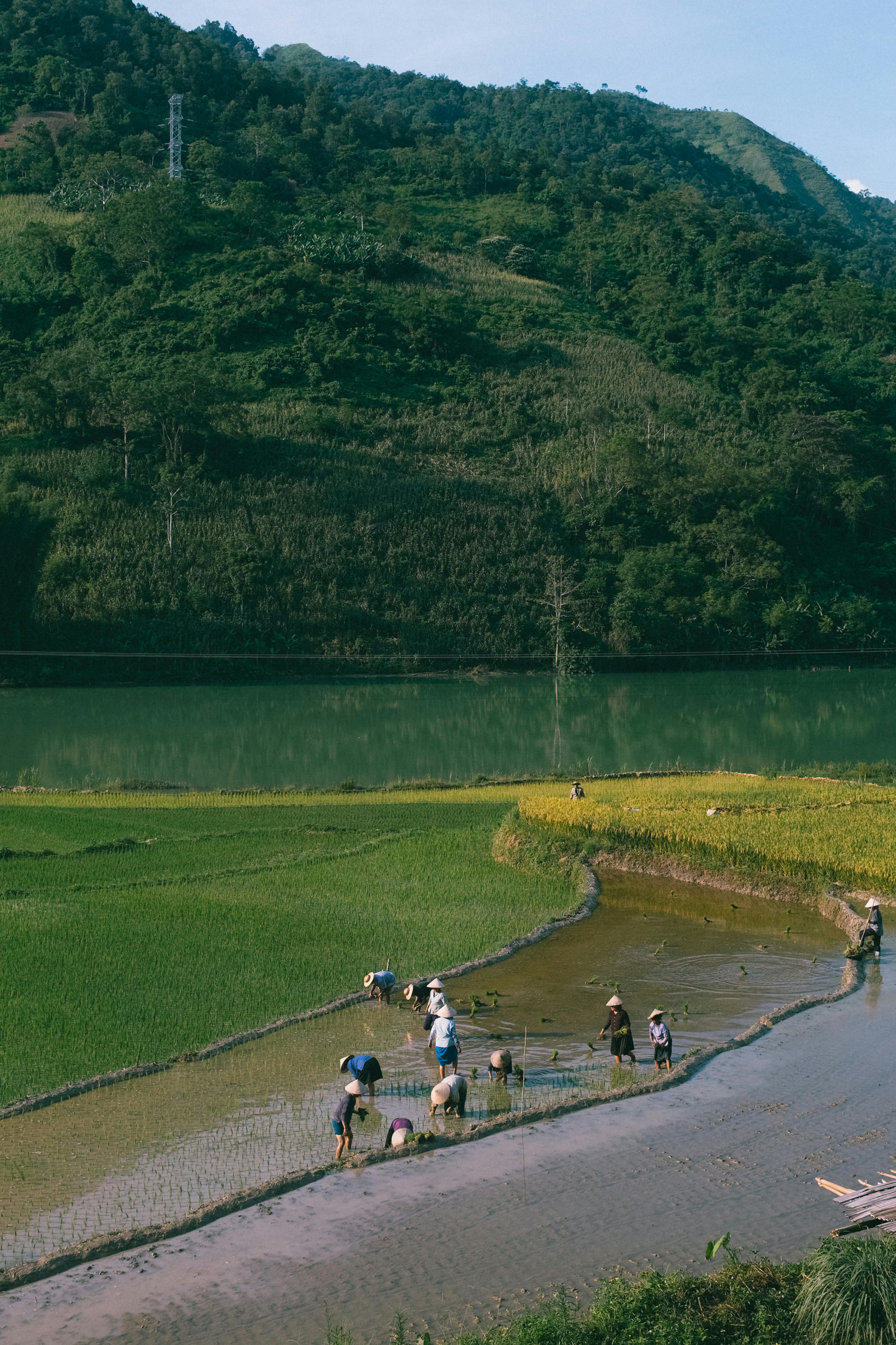 Sustainable Agriculture